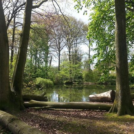 B & B De Pimpelmees 's-Gravenmoer Bagian luar foto