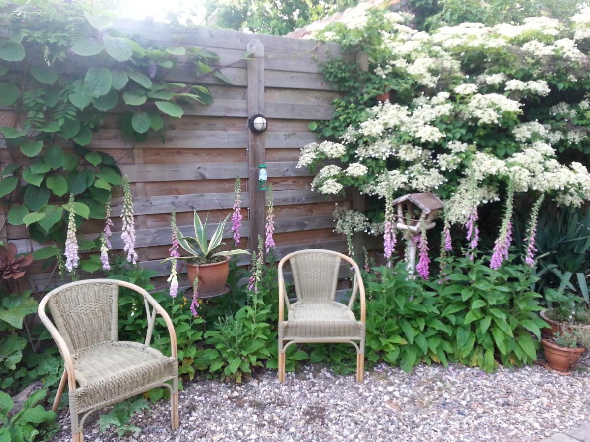 B & B De Pimpelmees 's-Gravenmoer Bagian luar foto